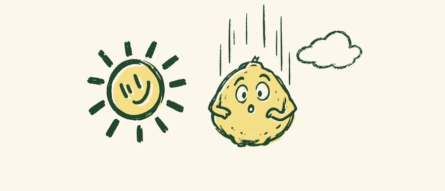 Big Squeeze surprised by a smiling sun