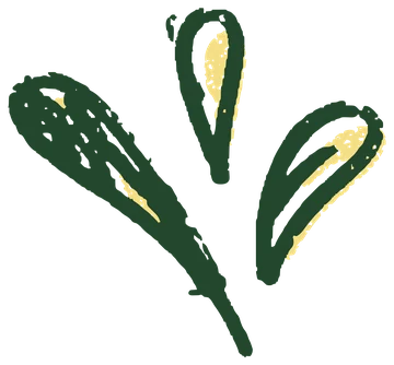 Splash icon